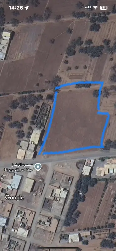 À Saisir : Grand Terrain Plat Titré – Parfait pour Projets Résidentiels ou Industriels