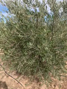 Immohajir | Immobilier au Maroc , Terrain À vendre À Marrakech-Safi , 3