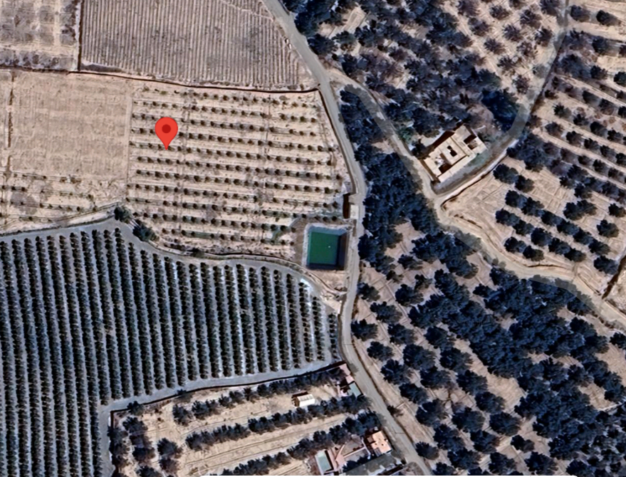 Terrain de 3 hectares : Oliviers, Entrepôt et Système d&rsquo;Irrigation à 15 min de l&rsquo;Aéroport Marrakech