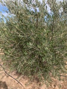 Immohajir | Immobilier au Maroc , Terrain À vendre À Marrakech-Safi , 3
