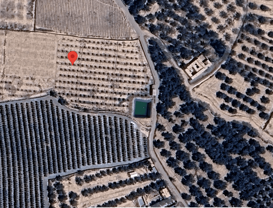 Terrain de 3 hectares : Oliviers, Entrepôt et Système d’Irrigation à 15 min de l’Aéroport Marrakech