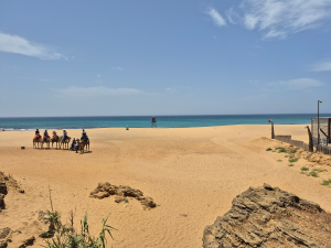 À vendre Charmant Bungalow à Achakkar Tanger Résidence Pr… – Immohajir Immobilier au Maroc | Villa À vendre à Tanger (photo 8)